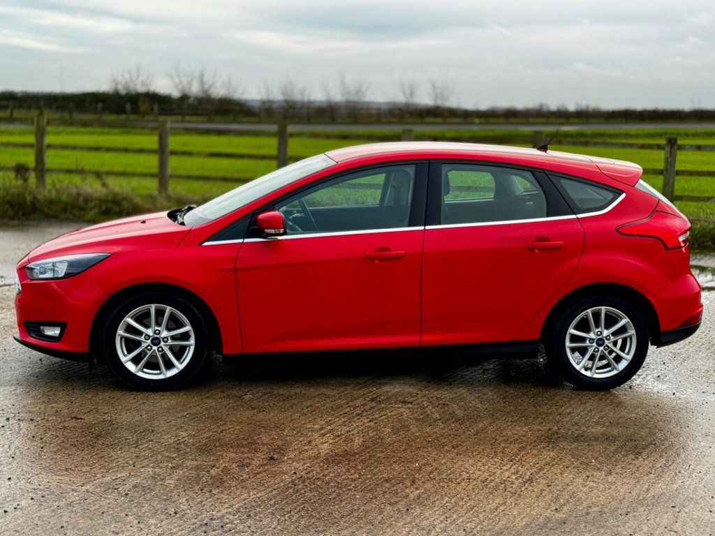 Used Ford Focus 2015 for sale - 76841219: Photo 22