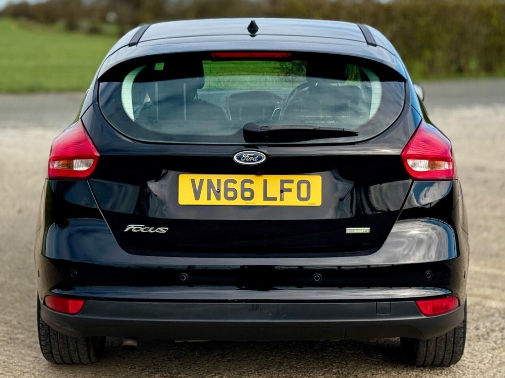 Used Ford Focus 2016 for sale - 77897564: Photo 16