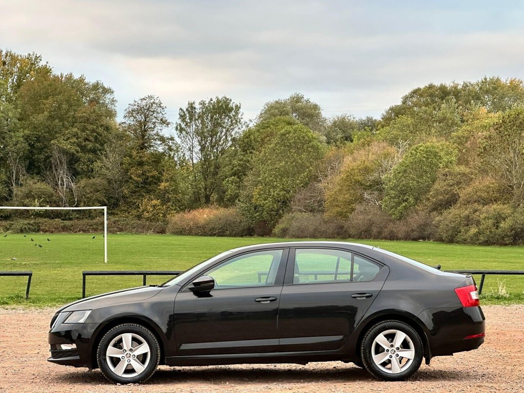Used Skoda Octavia 2017 for sale - 77067538: Photo 12