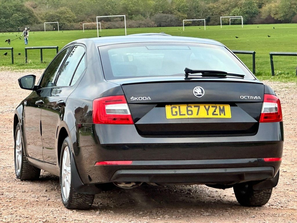Used Skoda Octavia 2017 for sale - 77067538: Photo 13