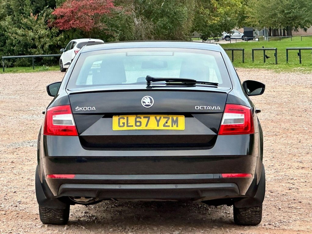 Used Skoda Octavia 2017 for sale - 77067538: Photo 8