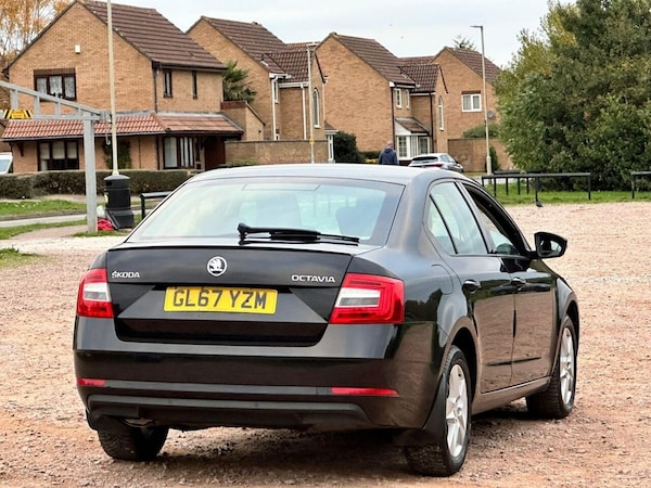 Used Skoda Octavia 2017 for sale - 76228978: Photo 10