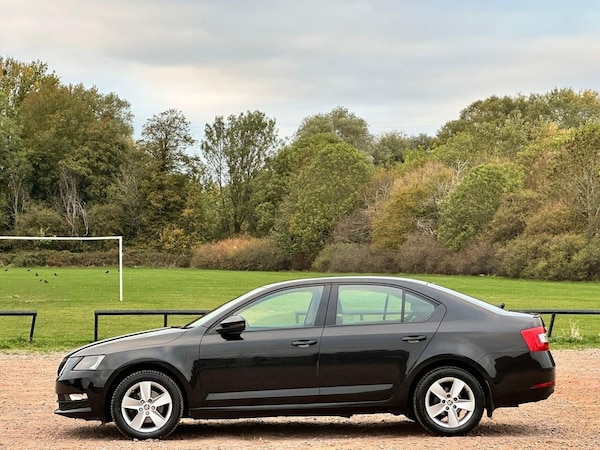 Used Skoda Octavia 2017 for sale - 76228978: Photo 12