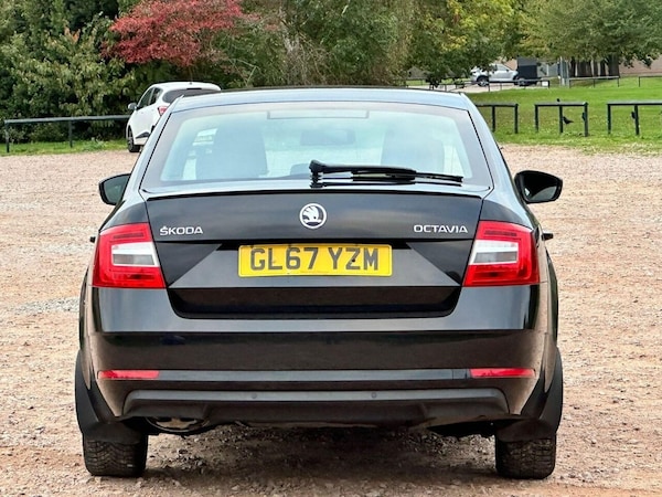 Used Skoda Octavia 2017 for sale - 76228978: Photo 8