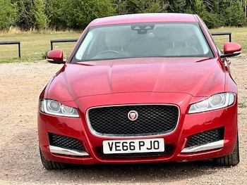 Used Jaguar XF 2017 for sale - 75548458: Photo