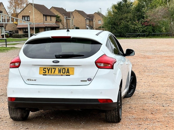 Used Ford Focus 2017 for sale - 76291565: Photo 10