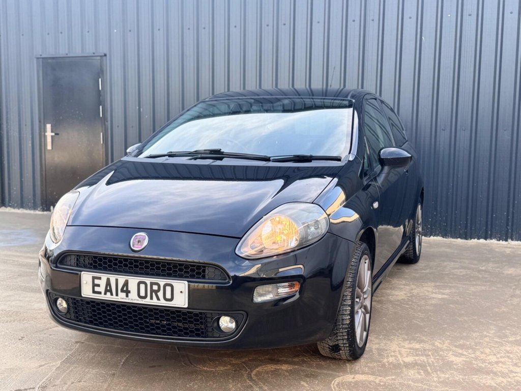Used Fiat Punto 2014 for sale - 76061866: Photo 3