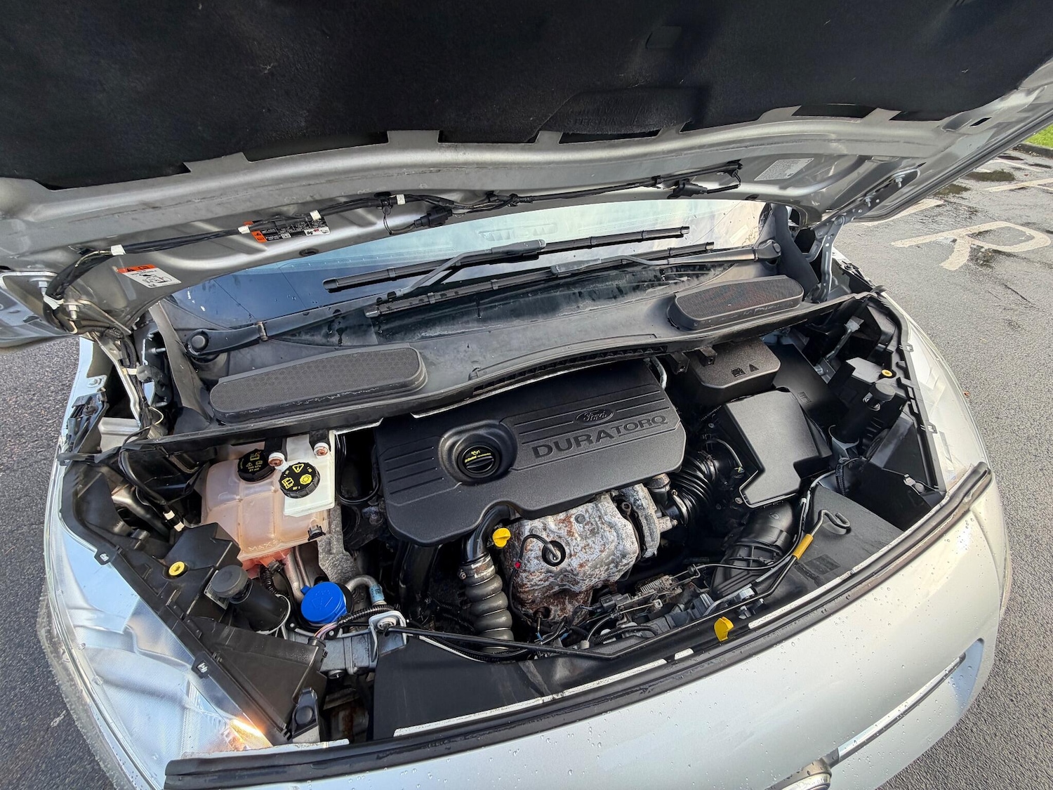 Used Ford Transit Connect 2017 for sale - 77424879: Photo 28