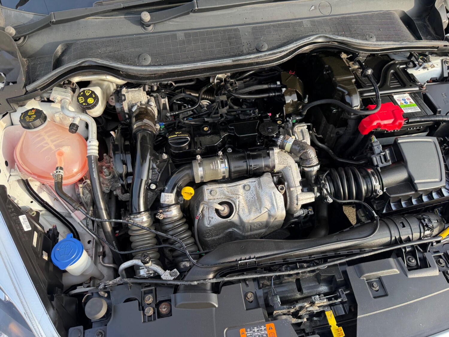 Used Ford Fiesta 2019 for sale - 77970265: Photo 23