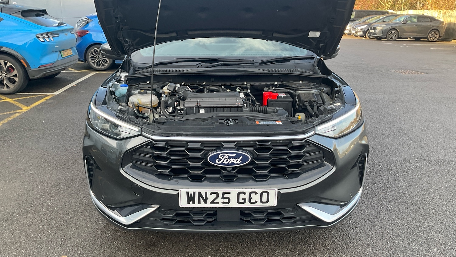 Used Ford Kuga 2025 for sale - 76968347: Photo 8