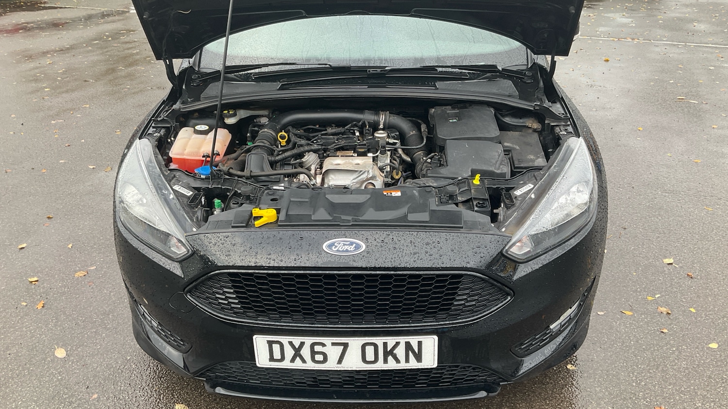 Used Ford Focus 2017 for sale - 76877362: Photo 8