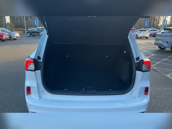 Used Ford Kuga 2020 for sale - 77007982: Photo