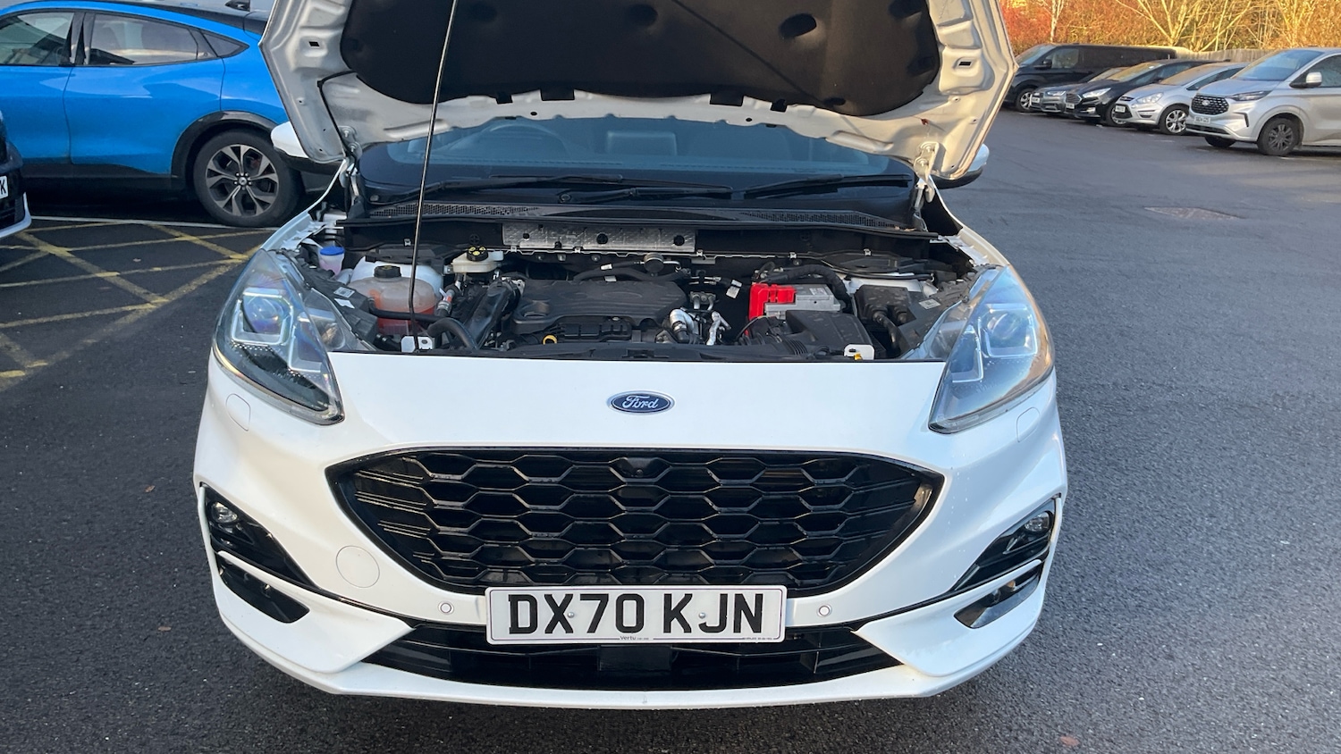 Used Ford Kuga 2020 for sale - 77007982: Photo 8