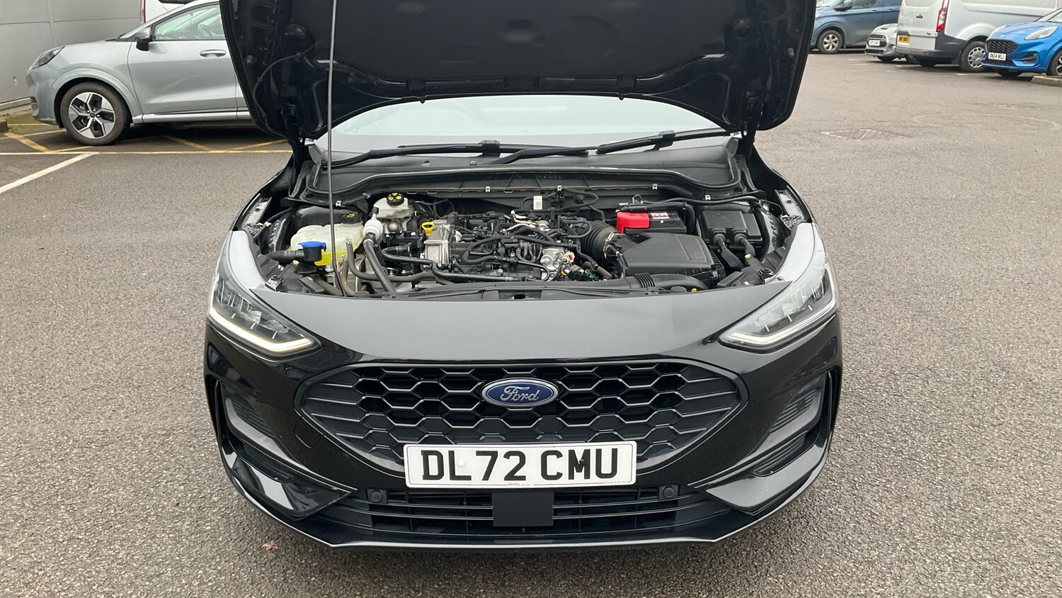 Used Ford Focus 2023 for sale - 77789069: Photo 8