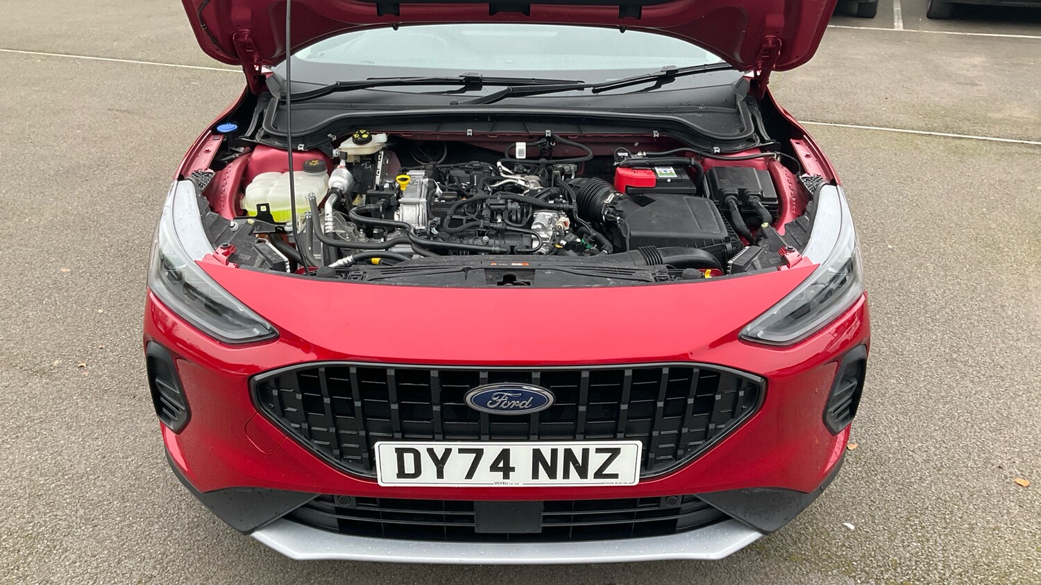 Used Ford Focus 2024 for sale - 77431067: Photo 8