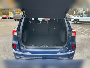 Used Ford Kuga 2023 for sale - 77353539: Photo