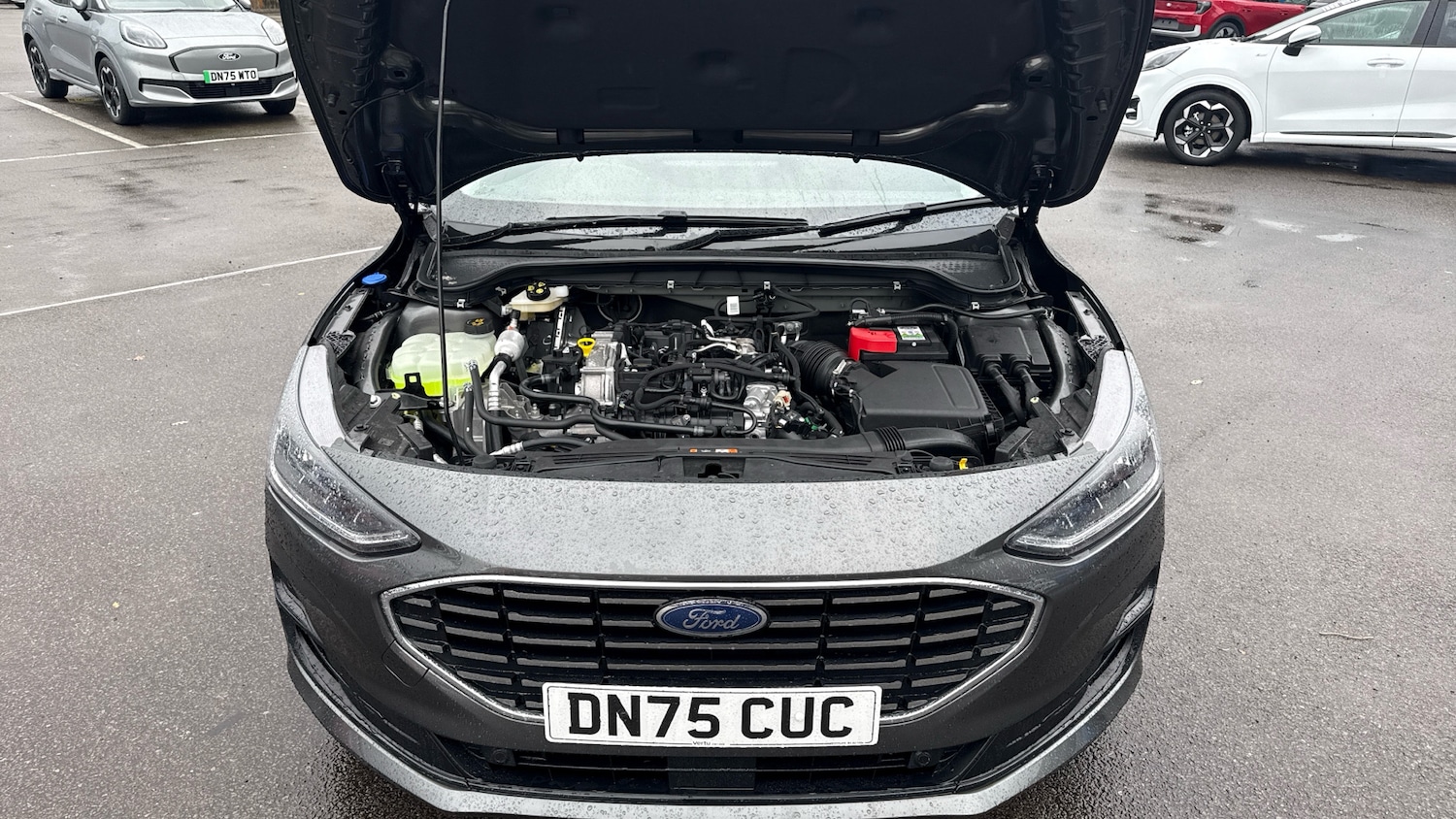 Used Ford Focus 2025 for sale - 76756913: Photo 8