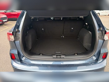 Used Ford Kuga 2023 for sale - 79429214: Photo