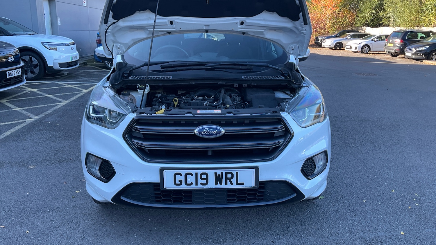 Used Ford Kuga 2019 for sale - 76401931: Photo 8