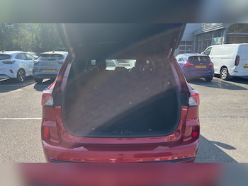 Used Ford Kuga 2021 for sale - 79432661: Photo