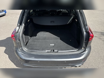 Used Ford Focus 2024 for sale - 79624007: Photo