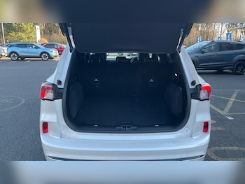 Used Ford Kuga 2022 for sale - 78197314: Photo