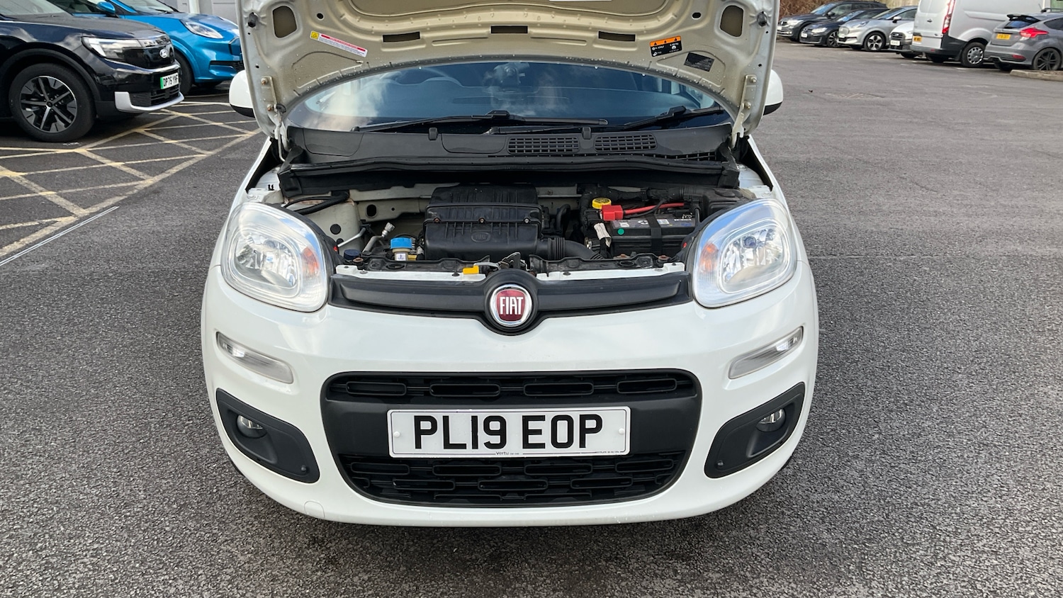 Used Fiat Panda 2019 for sale - 77416917: Photo 8