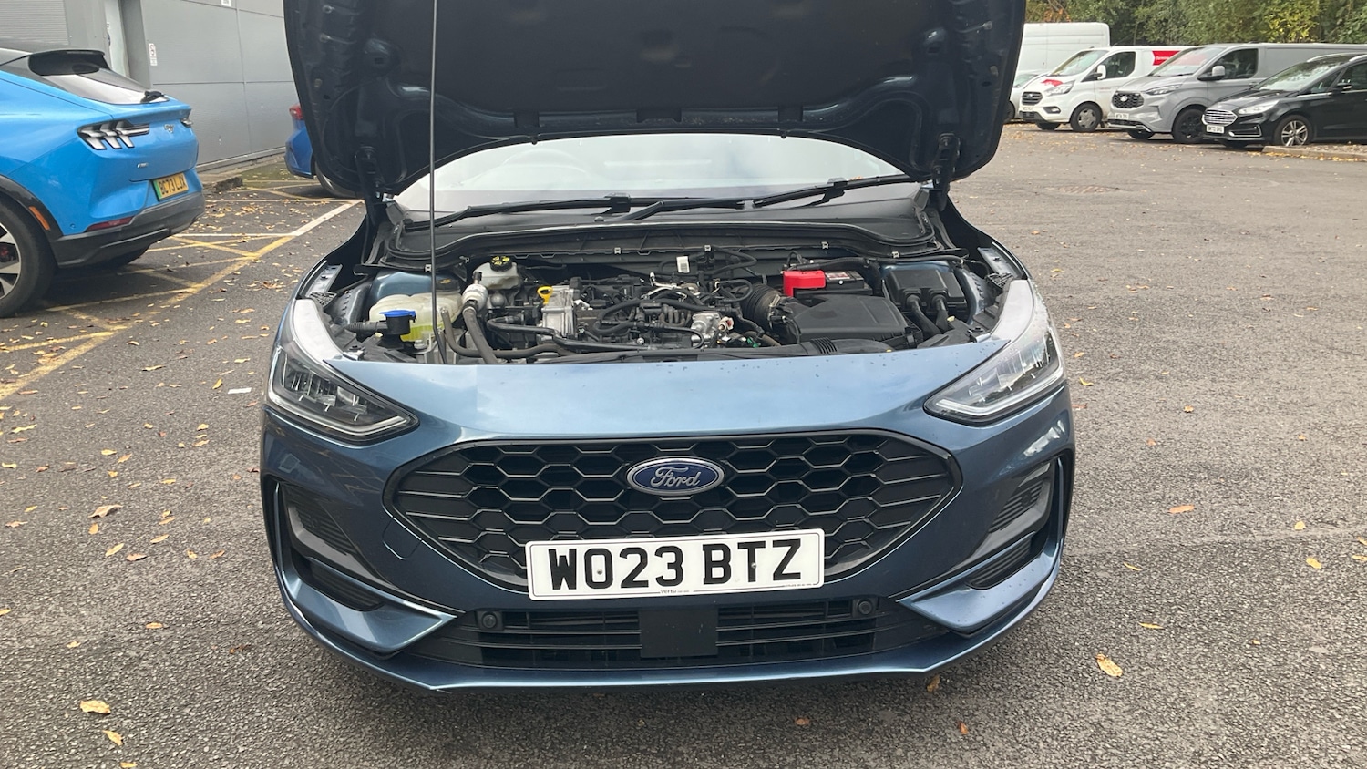 Used Ford Focus 2023 for sale - 76374034: Photo 8