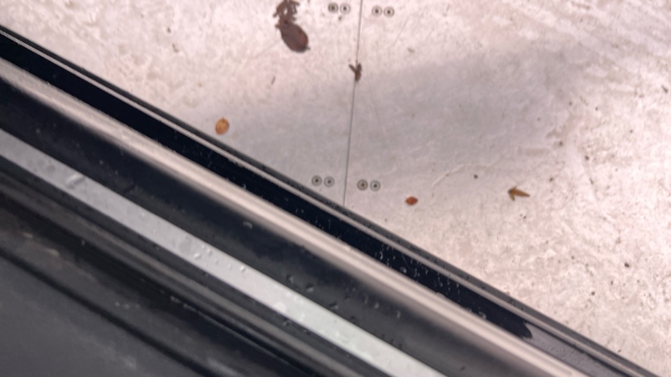 Used Audi Q3 2017 for sale - 76888790: Photo 36