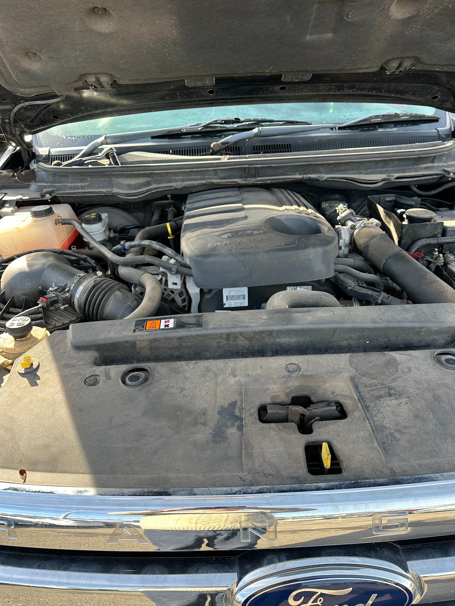 Used Ford Ranger 2015 for sale - 76555220: Photo 21