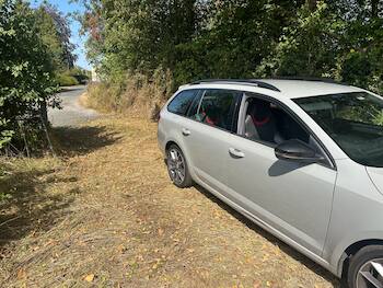 Used Skoda Octavia 2016 for sale - 79596020: Photo