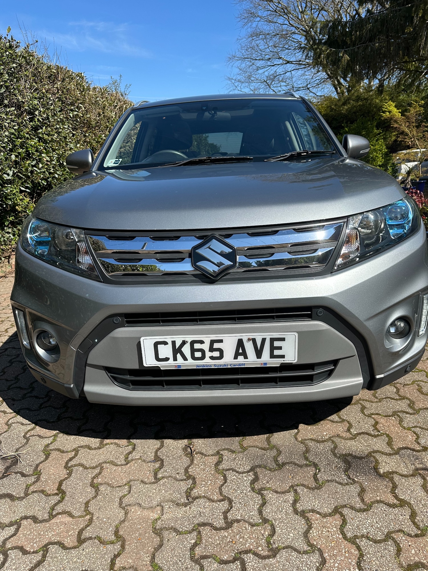 Vehicle 6