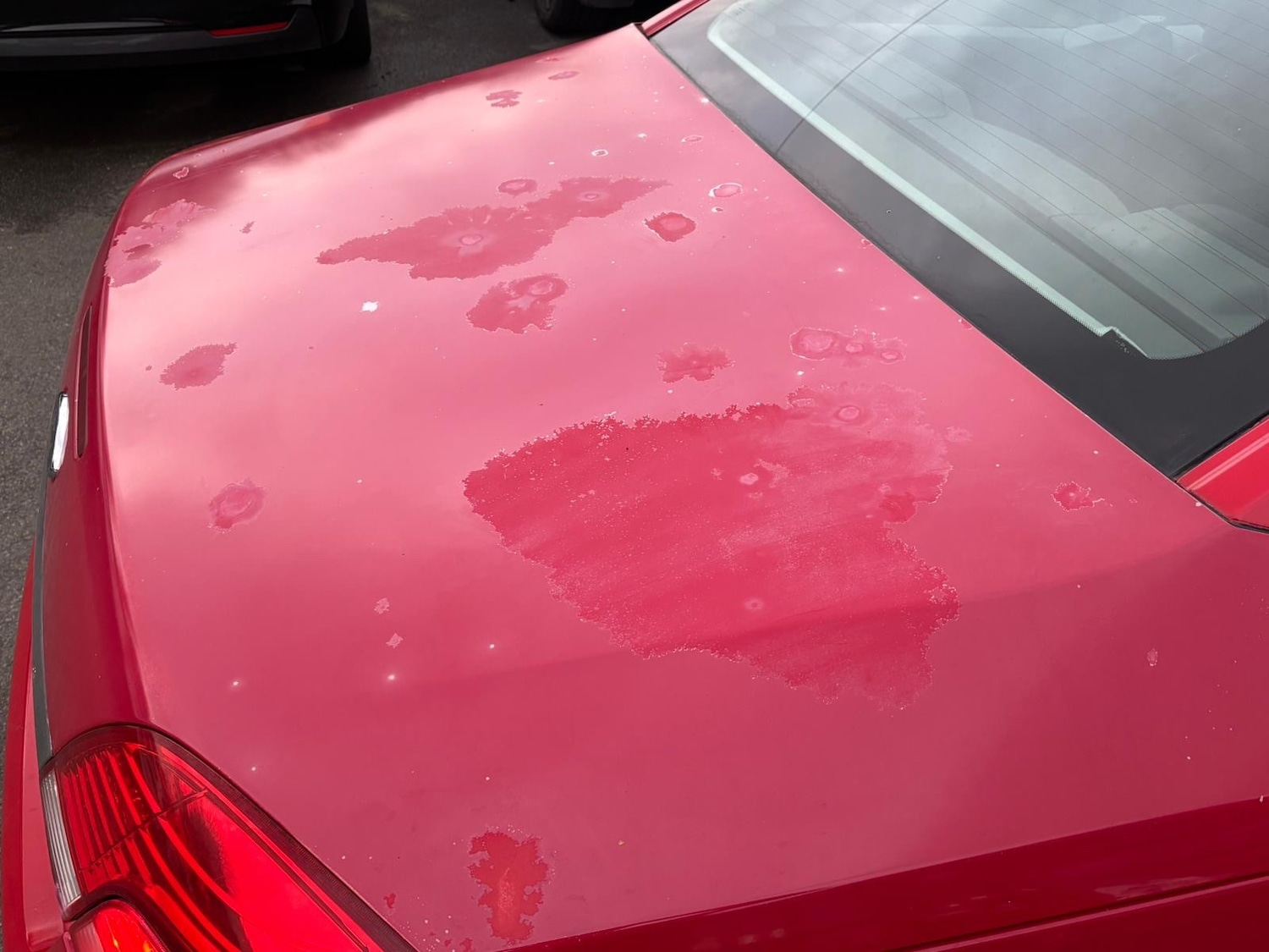 Used Ford Focus CC 2009 for sale - 77368828: Photo 8