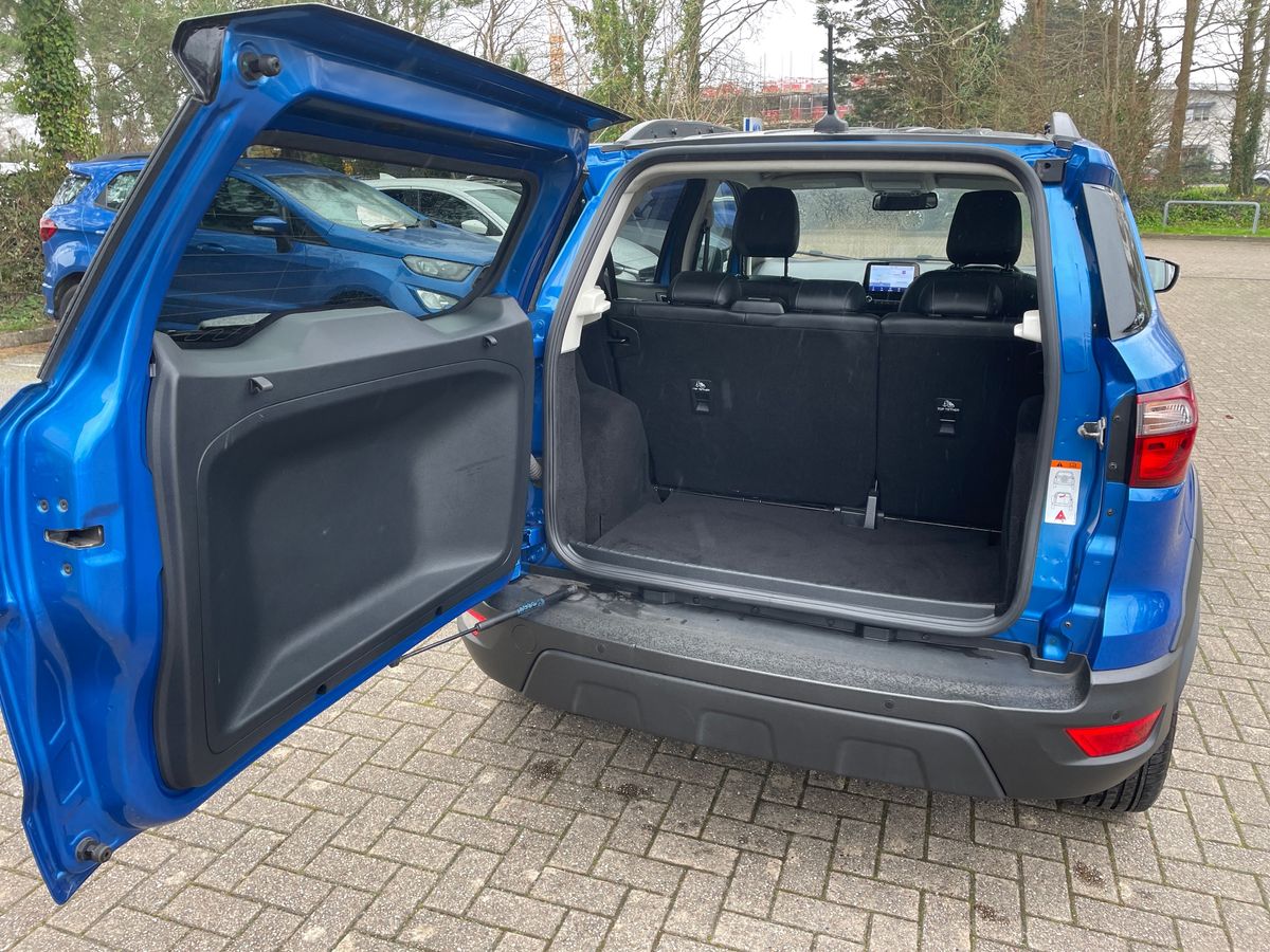 Used Ford Ecosport 2023 for sale - 78009075: Photo 17