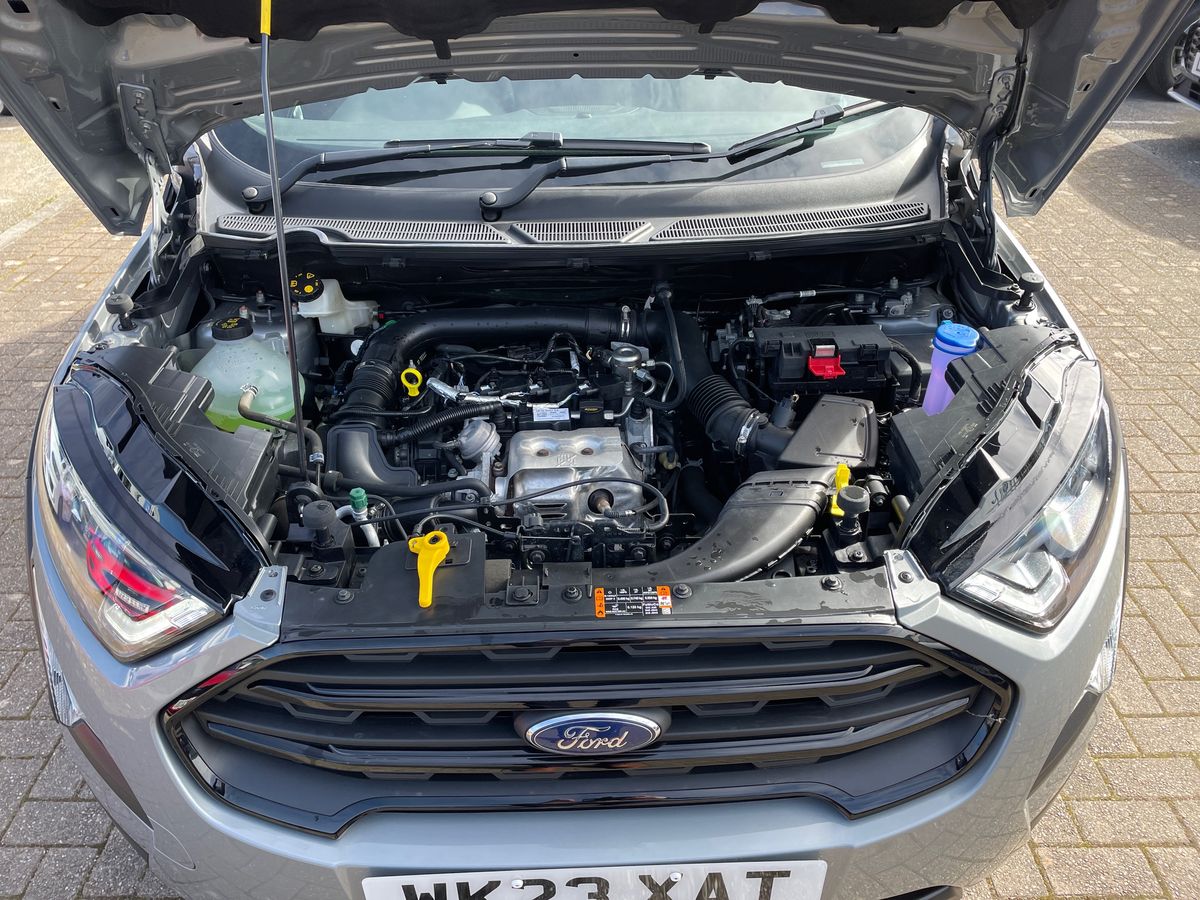 Used Ford Ecosport 2023 for sale - 78117676: Photo 33