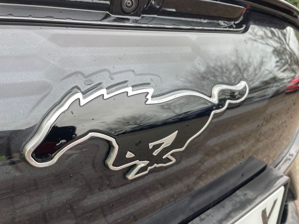 Used Ford Mustang Mach-E 2023 for sale - 77372987: Photo 35