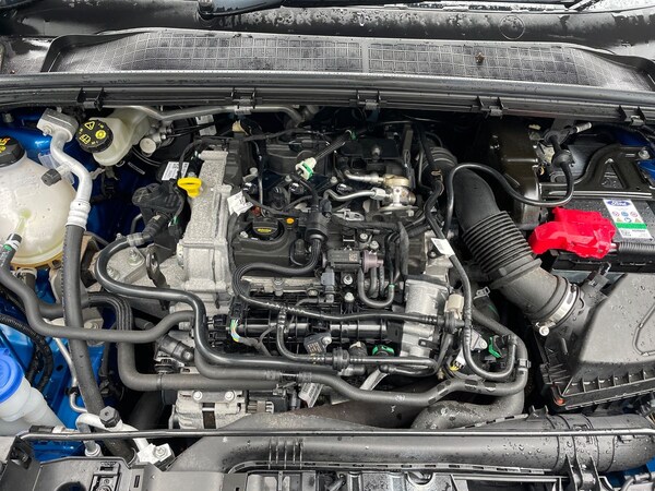 Used Ford Focus 2022 for sale - 76168782: Photo 33