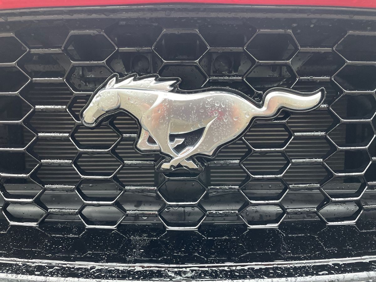 Used Ford Mustang 2025 for sale - 76563770: Photo 34