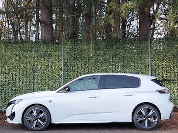 Used Peugeot 308 2025 for sale - 76317634: Photo