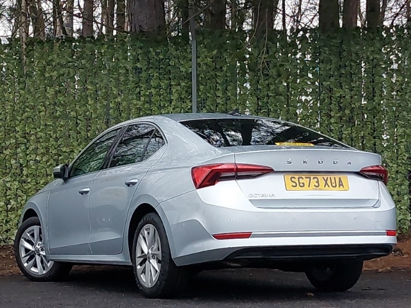 Used Skoda Octavia 2023 for sale - 77284139: Photo 3