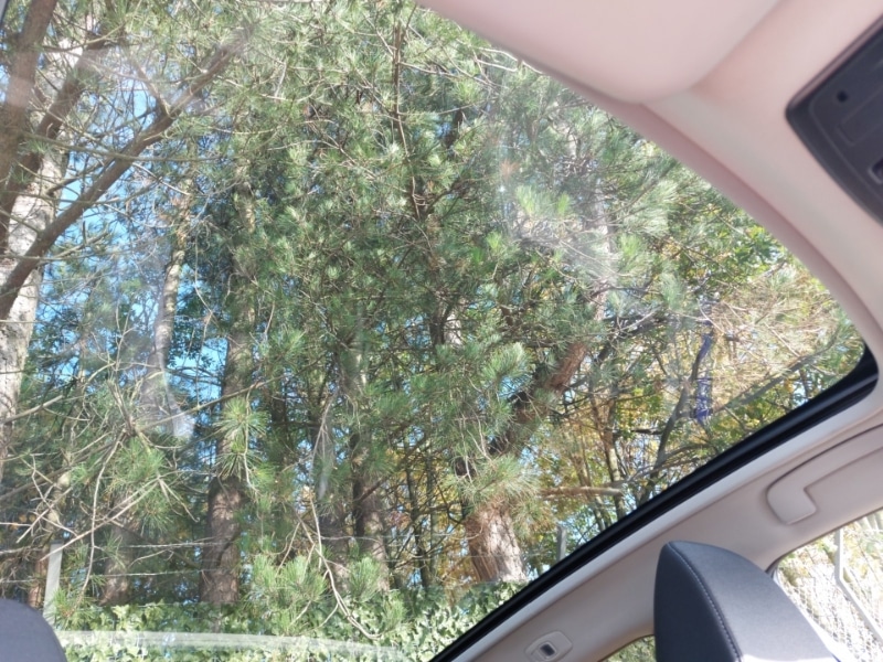 Used Nissan Qashqai 2023 for sale - 77154884: Photo 19