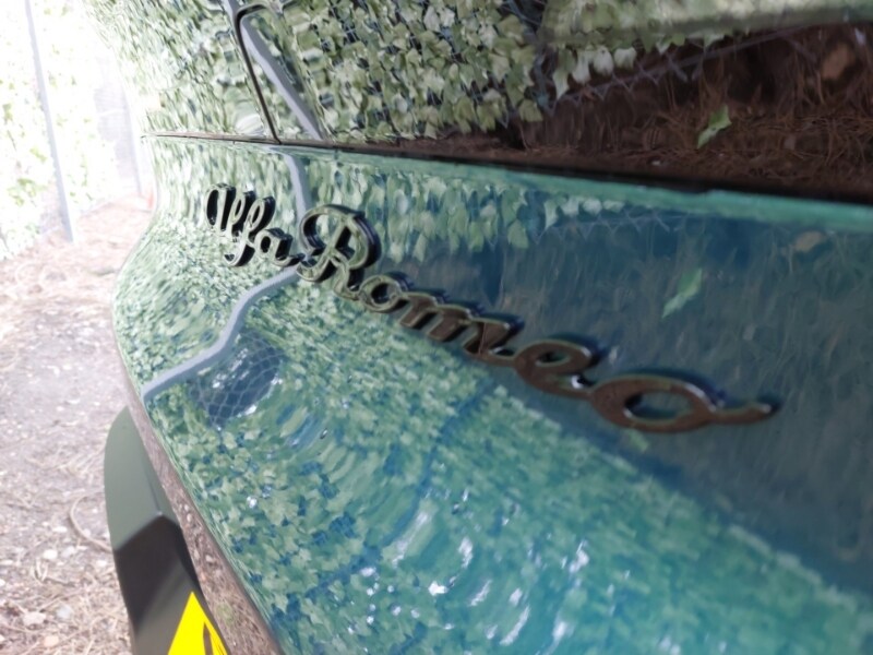 Used Alfa Romeo Junior 2025 for sale - 77605854: Photo 14