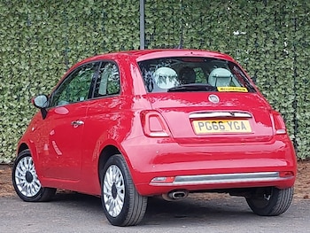 Used Fiat 500 2017 for sale - 76311587: Photo 3