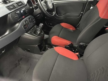Used Fiat Panda 2021 for sale - 77376680: Photo