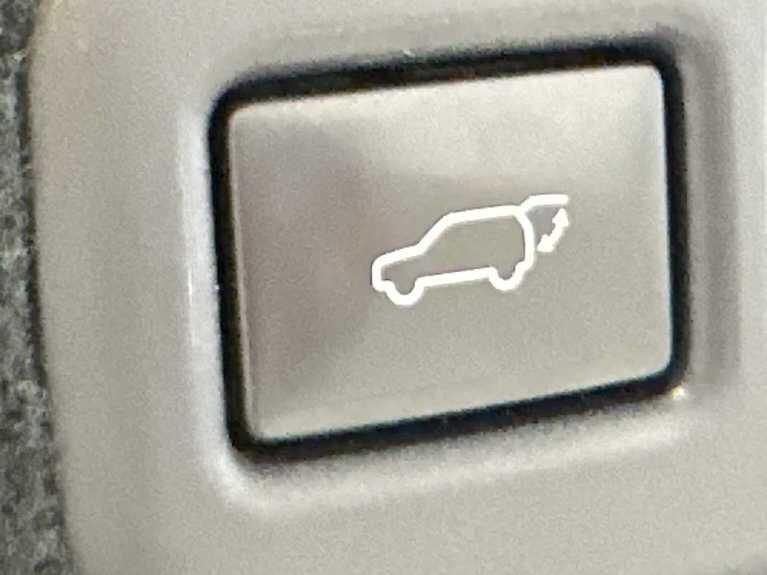 Used Lexus RX 2019 for sale - 76832330: Photo 28