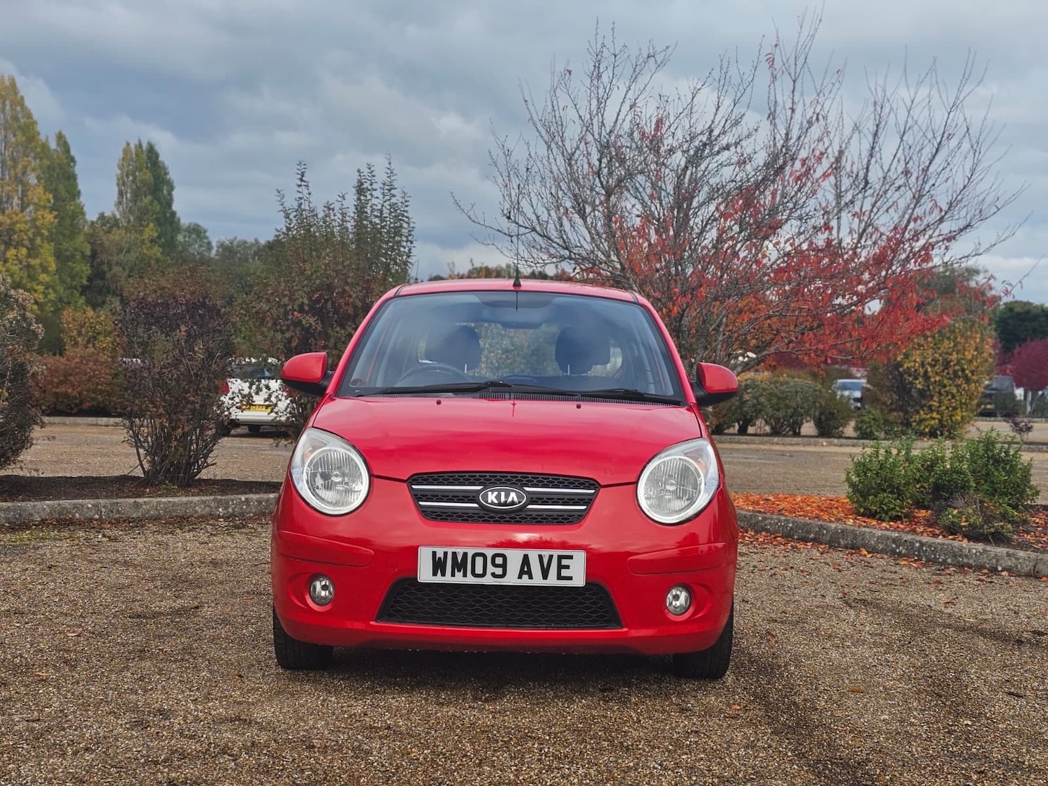 Used Kia Picanto 2009 for sale - 76491829: Photo 2