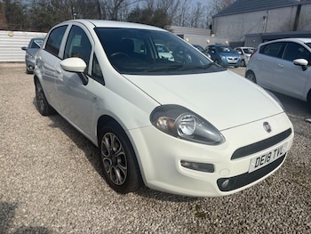Used Fiat Punto 2018 for sale - 77981581: Photo
