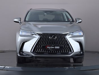 Used Lexus NX 2023 for sale - 75241423: Photo