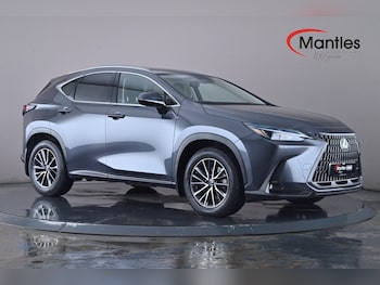 Used Lexus NX 2023 for sale - 75936361: Photo