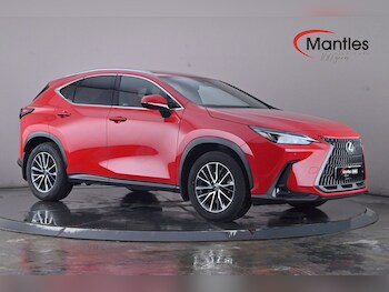 Used Lexus NX 2023 for sale - 75936368: Photo